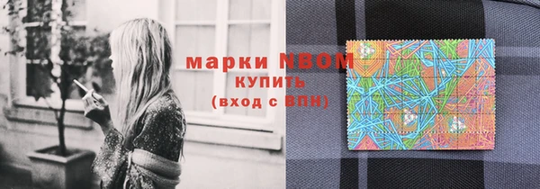 Альфа ПВП Верея