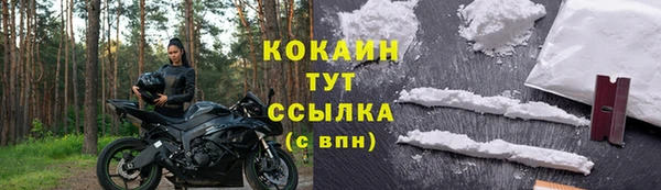 Альфа ПВП Верея