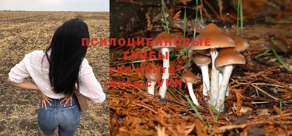 2c-b Белоозёрский