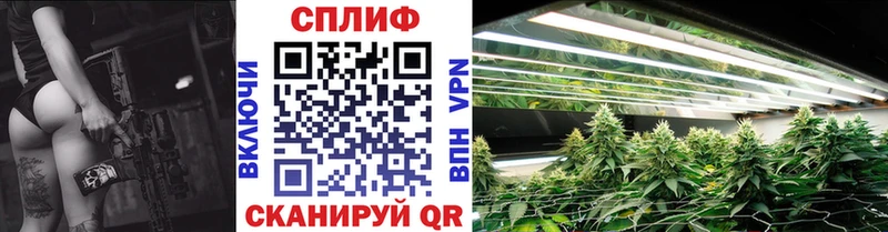 МАРИХУАНА семена  купить наркотик  Борисоглебск 